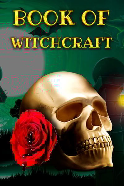 Book Of Witchcraft